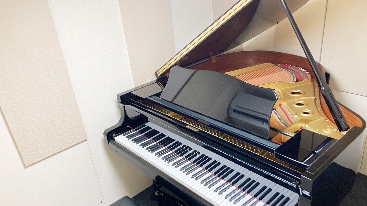 投稿についてもっと詳しく 大人になってから始めるピアノ